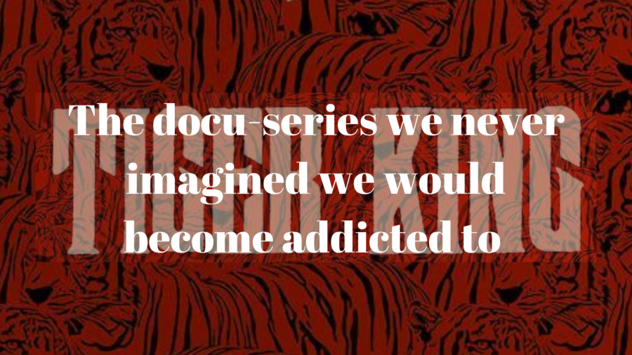 The docu-series we never imagined we would become addicted to