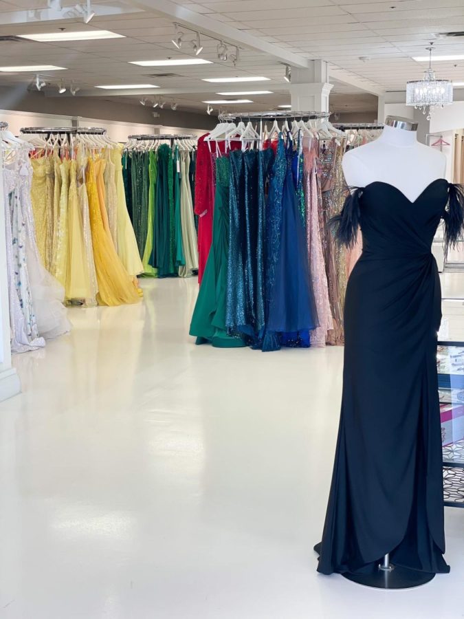 With prom around the corner girls are rushing to find the perfect dress.
Photo Credit: Kristen Adolph