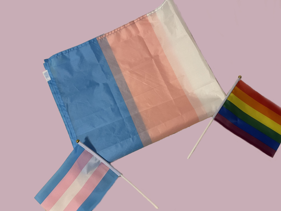 The flag on the left and in the middle is the transgender flag, and the one on the right is the non-progressive pride flag.